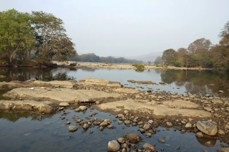 Cauvery Wildlife Sanctuary 2 Cauvery Wildlife Sanctuary 8