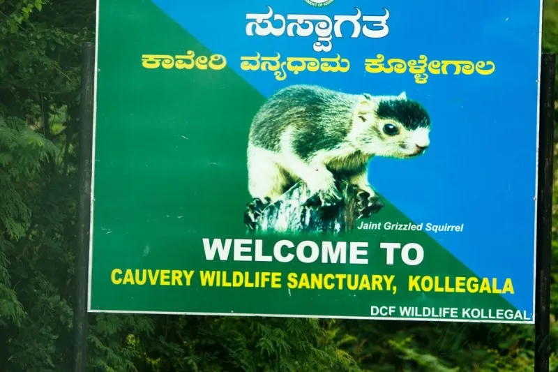 Cauvery Wildlife Sanctuary 1 Cauvery Wildlife Sanctuary
