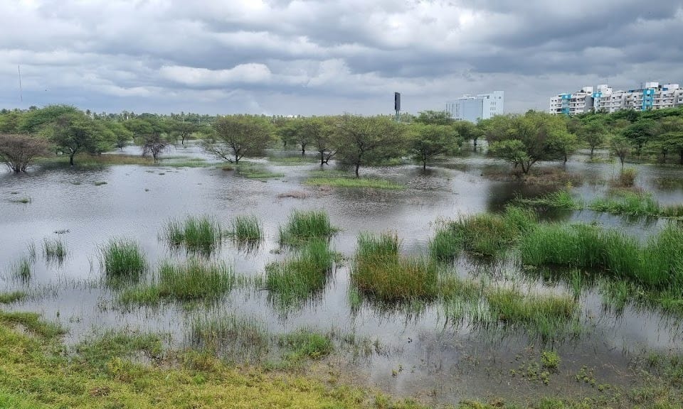 Hoskote Lake 1 Hoskote Lake 1 1