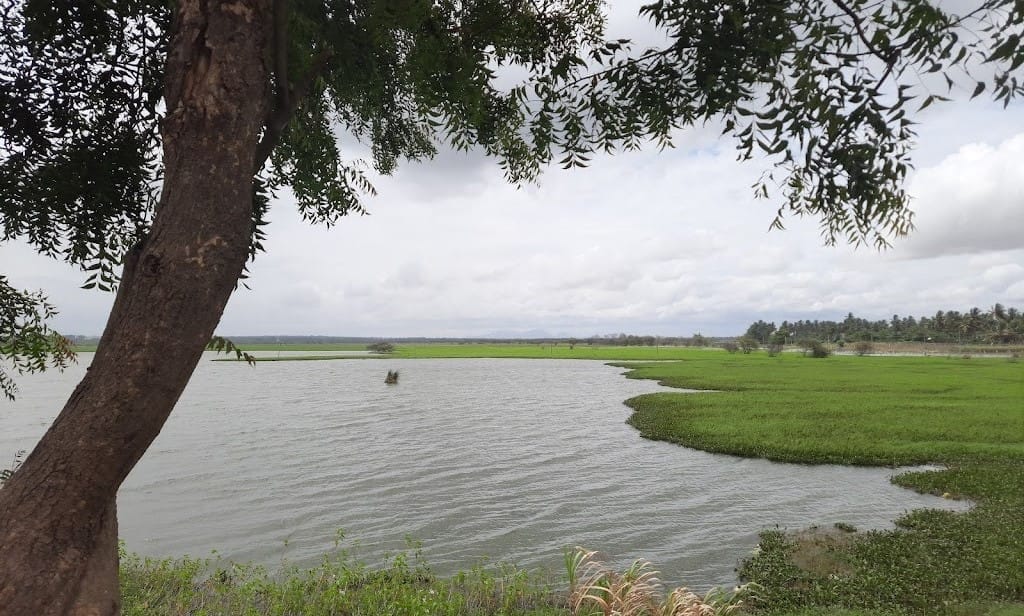 Hoskote Lake 2 Hoskote Lake 1