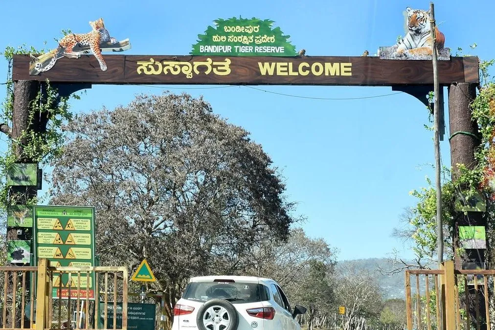 Bandipur National Park 1 bandipur national park entry view