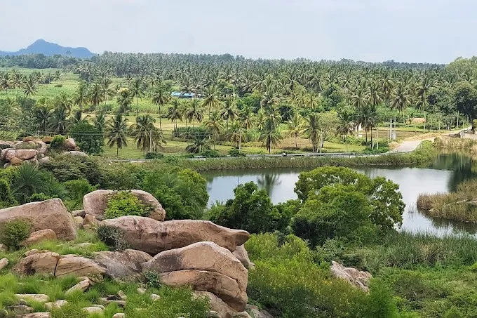 Kere Thonnur Lake (Thonnur Kere) 5 Kere Thondanur 3
