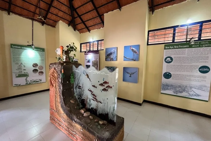 Kokkare belluru Bird Sanctuary 7 Kokkare belluru Bird Sanctuary Information Center