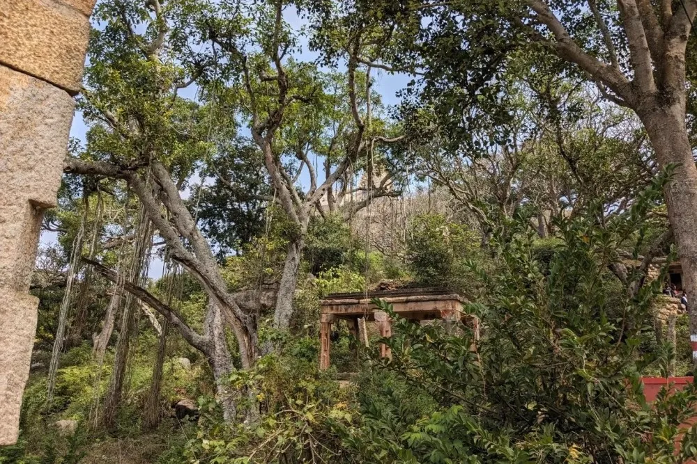 Yoganarasimha Swamy Temple Melukote 5 Sri Yoga Narasimha Temple