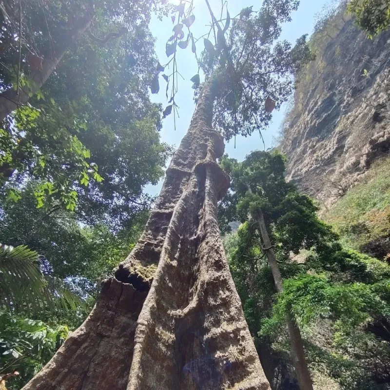 Koodlutheertha Falls 6 Koodlutheertha Falls hebri udupi