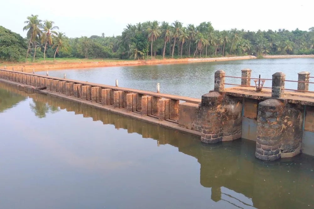 Palimaru Dam kapu