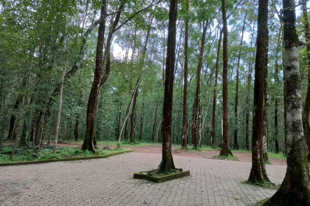 Pilarukaana Shree Mahalingeshwara Shree Mahaganapathi Temple 6 Pilarukaana Shree Mahalingeshwara Shree Mahaganapathi Temple ground view