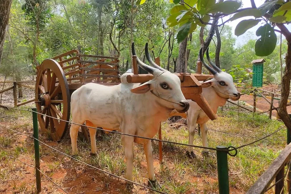 Salumarada Thimmakka Tree Park Udupi 2 Salumarada Thimmakka Tree Park Udupi Bull idol