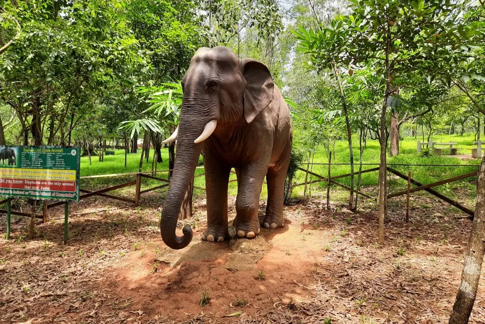 Salumarada Thimmakka Tree Park Udupi 3 Salumarada Thimmakka Tree Park Udupi elephant idol
