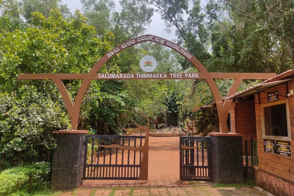 Salumarada Thimmakka Tree Park Udupi 1 Salumarada Thimmakka Tree Park Udupi