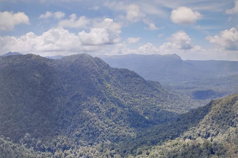 Someshwara Wildlife Sanctuary 6 Someshwara Wildlife Sanctuary Hebri photo