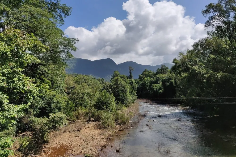 Someshwara Wildlife Sanctuary 2 Someshwara Wildlife Sanctuary Hebri view