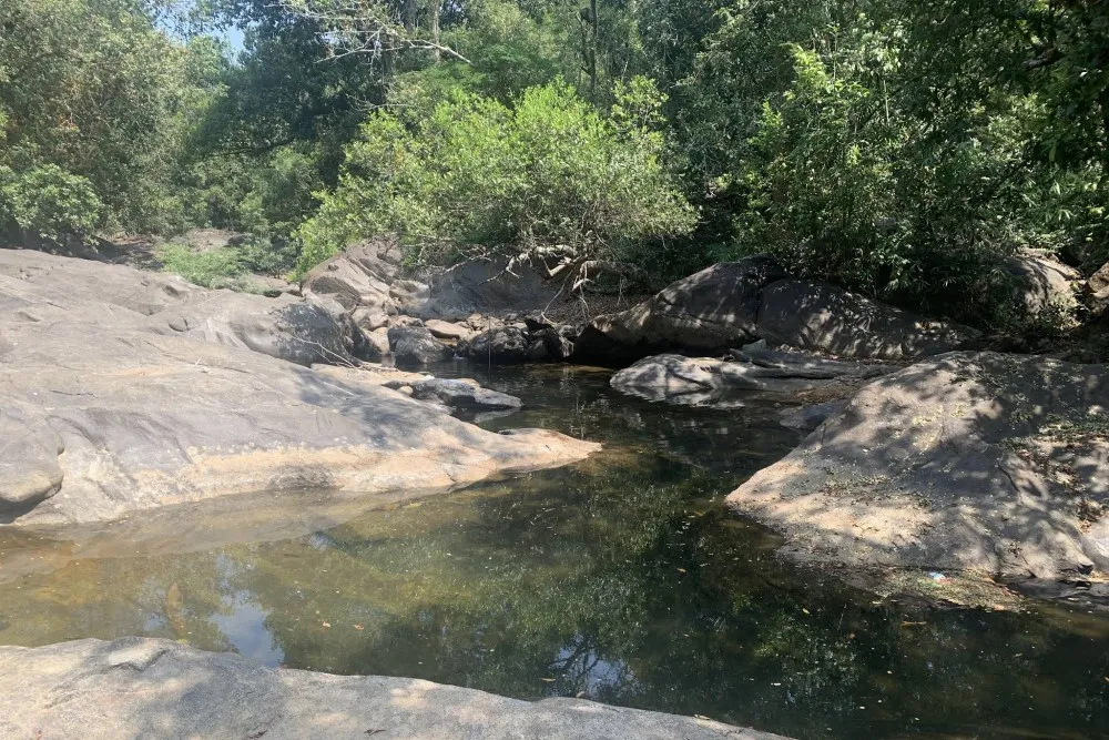 Someshwara Wildlife Sanctuary 3 Someshwara Wildlife Sanctuary Hebri