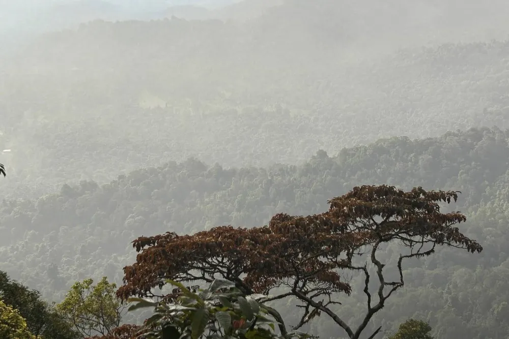 Someshwara Wildlife Sanctuary 4 Someshwara Wildlife Sanctuary udupi view