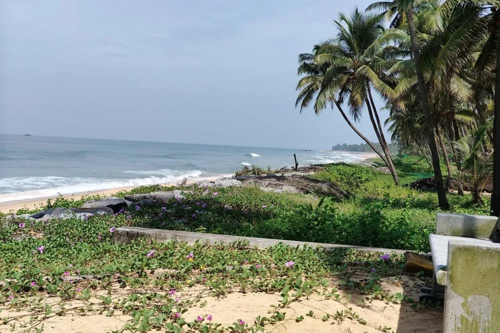 Yermal Thenka Beach 4 Yermal Thenka Beach kapu photos