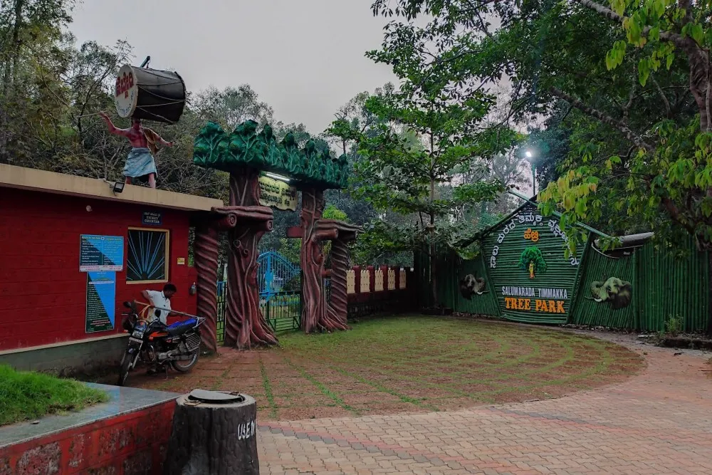 Salumarada Thimmakka Tree Park Hebri 1 salumarada thimmakka park hebri entry view