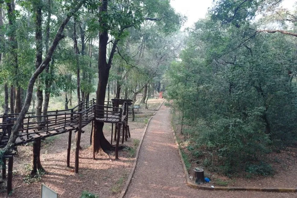 Salumarada Thimmakka Tree Park Hebri 6 salumarada thimmakka park hebri udupi