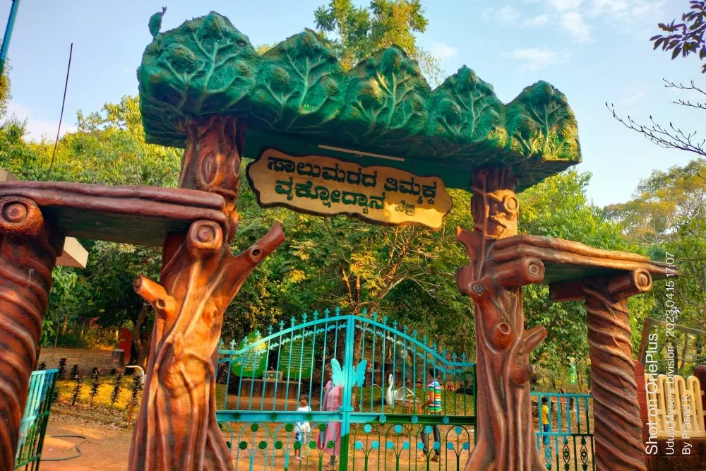 Salumarada Thimmakka Tree Park Hebri 2 salumarada thimmakka park hebri